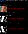 Thumbnail for version as of 12:19, 5 January 2025