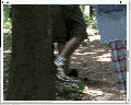 Thumbnail for version as of 19:47, 31 March 2024